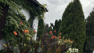 Kwiaty w Skansenie